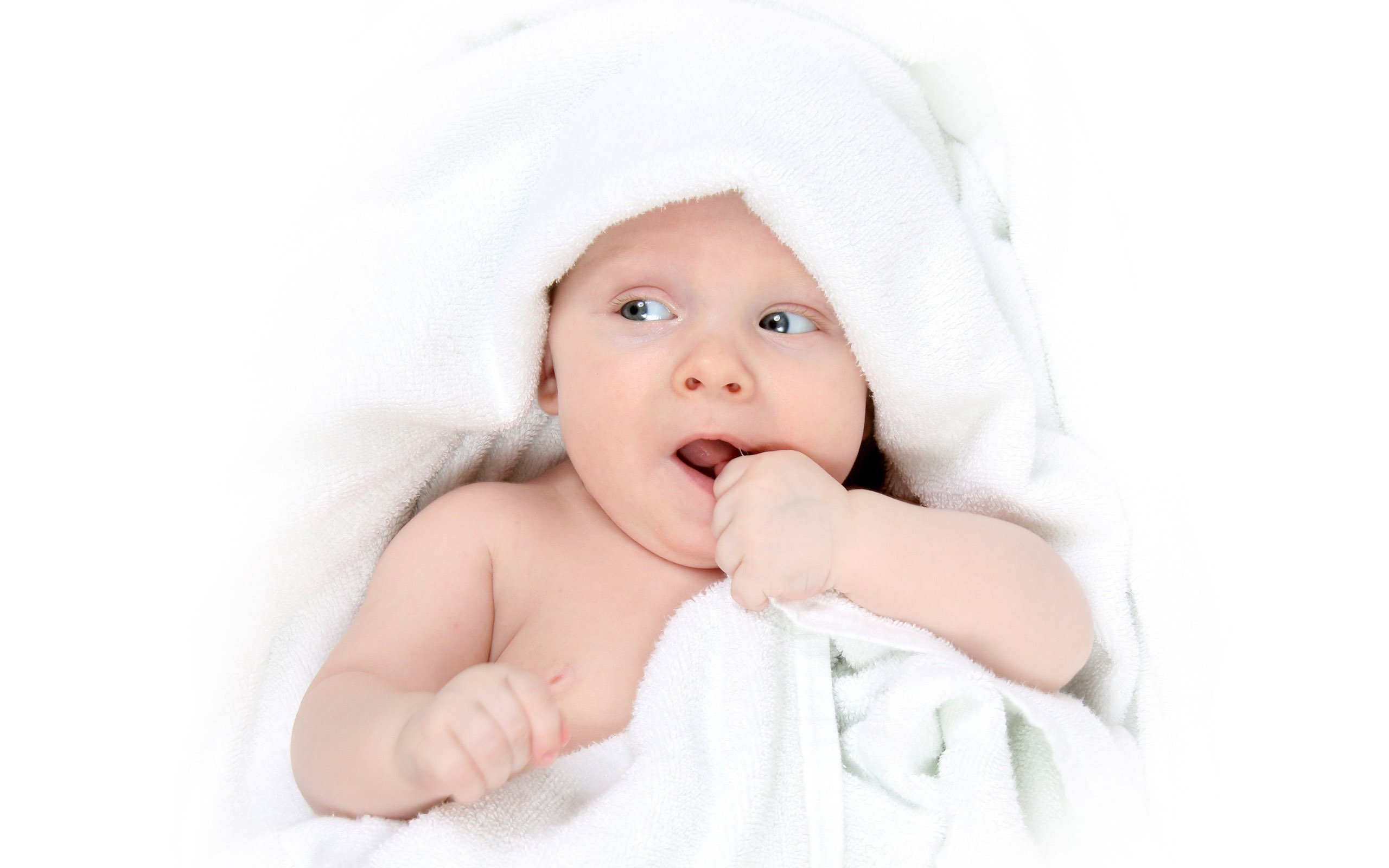 正规捐卵机构试管婴儿卵泡成熟5个成功几率